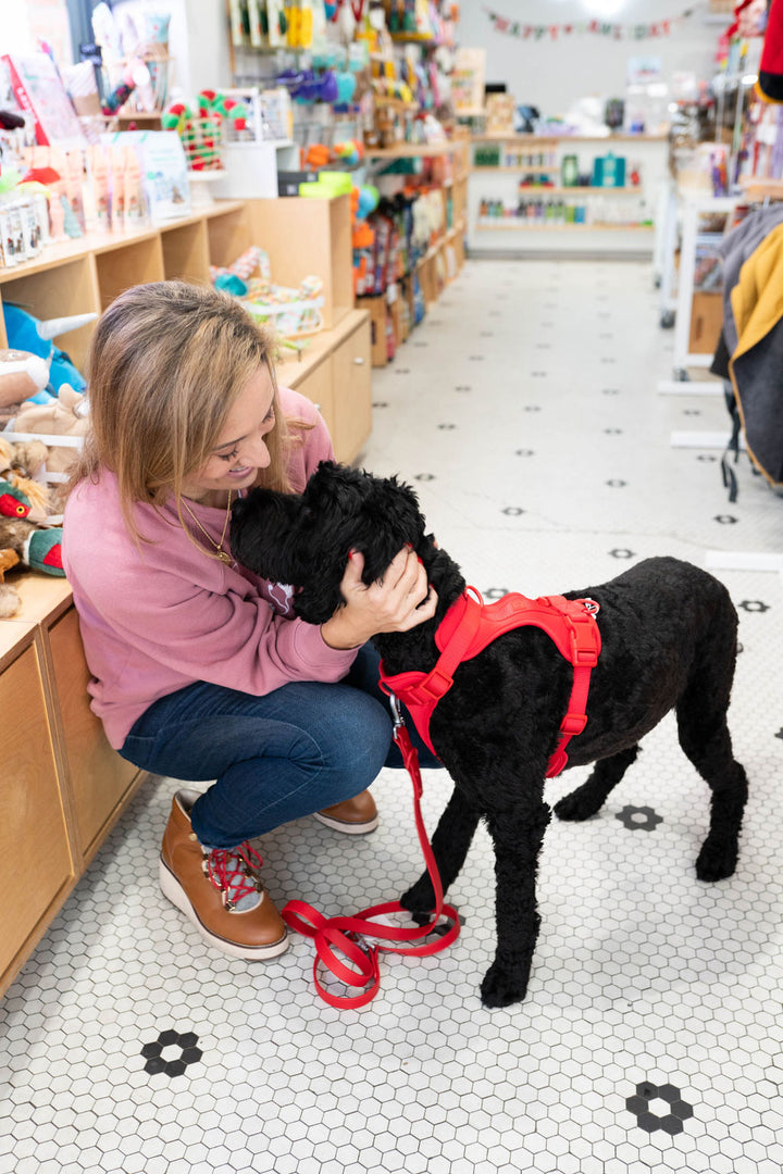 Toiffer Comfort Dog Harness Scarlet Red