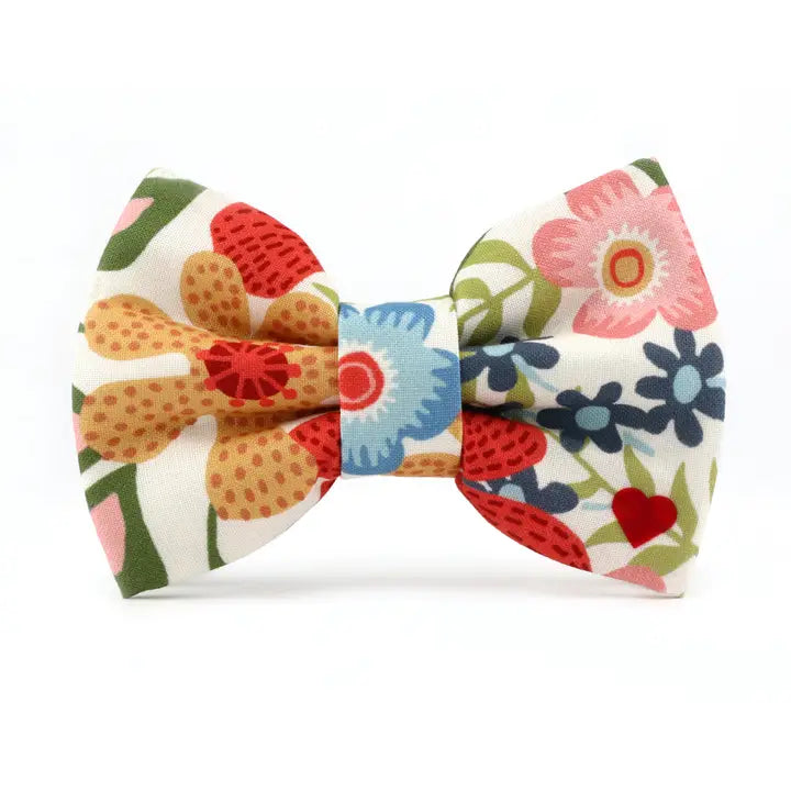 Callie Bow Tie Attachment for Collar