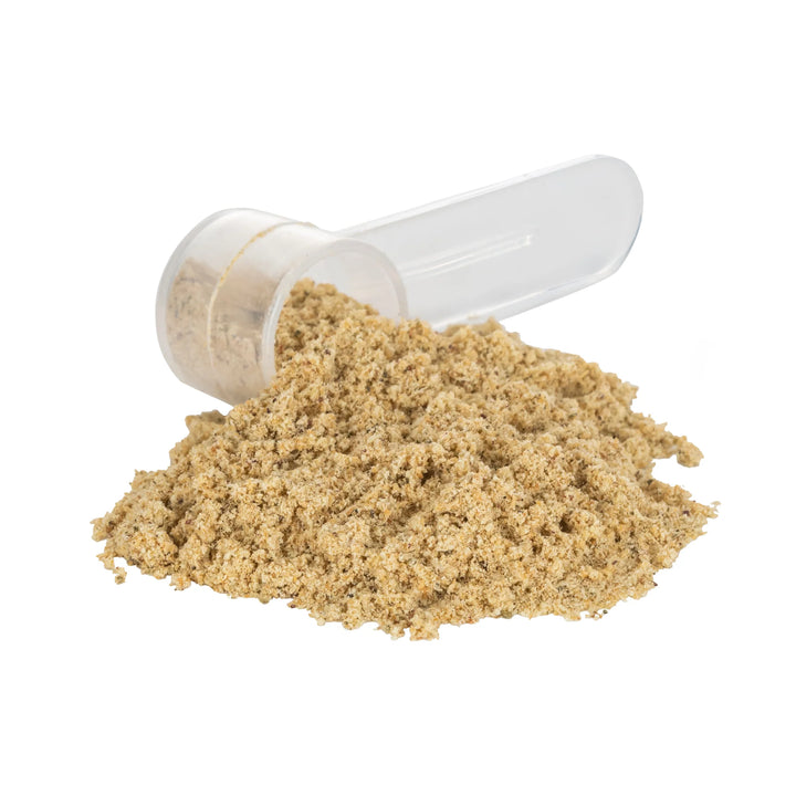 BioBrilliant Dental Health Powder 3oz (85gr)