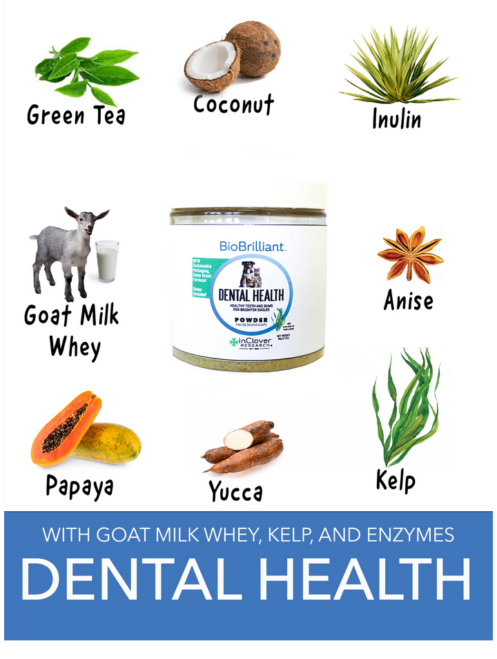 BioBrilliant Dental Health Powder 3oz (85gr)