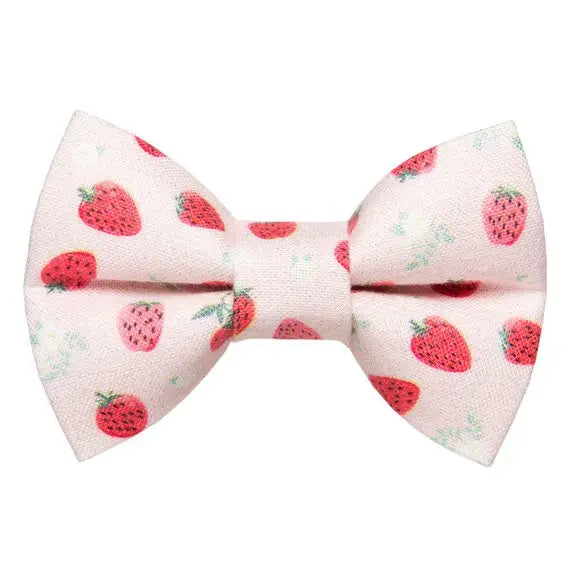 Shortcake Bow Tie Attachment for Collar