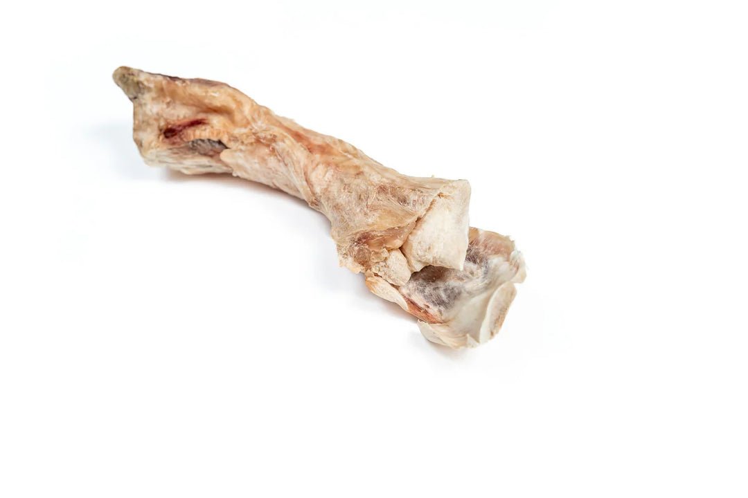Bison Tendon Chew