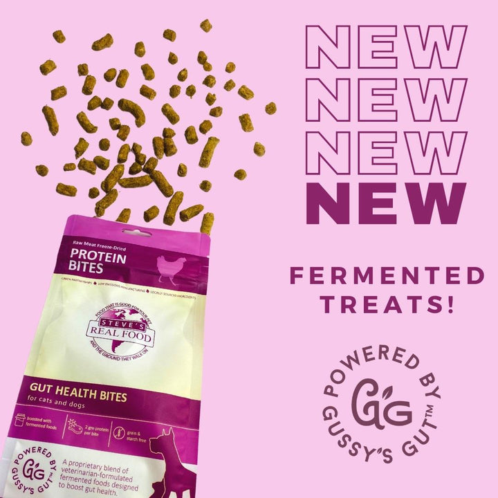 Steve's Real Food Protein Bites Chicken Gut Health 4oz