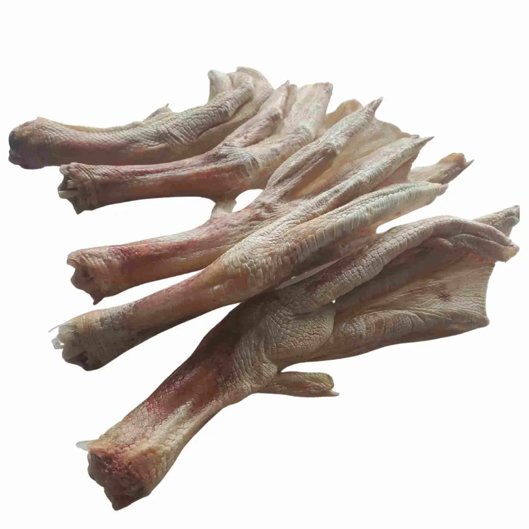 Freeze Dried Duck Feet Treat for Cats and Dogs
