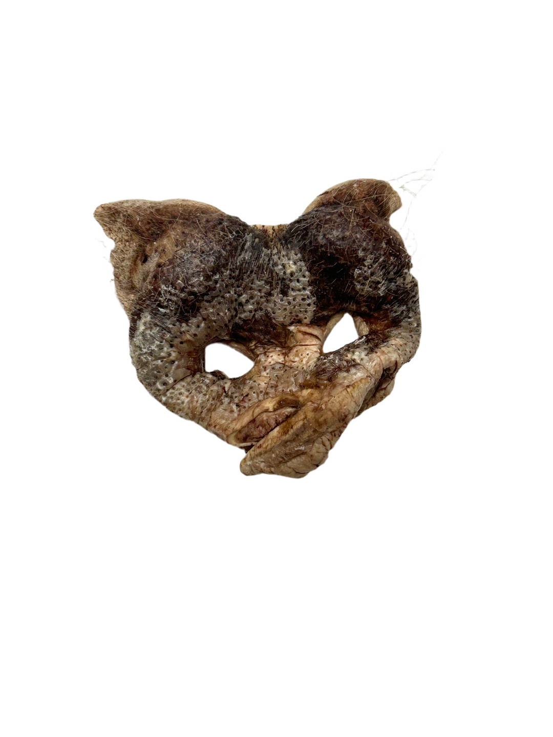 Freeze Dried Pig Snout Chew for Dogs and Cats