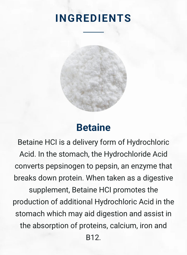 Adored Beast Healthy Gut Digestive Enzyme Pre & Probiotic 41g