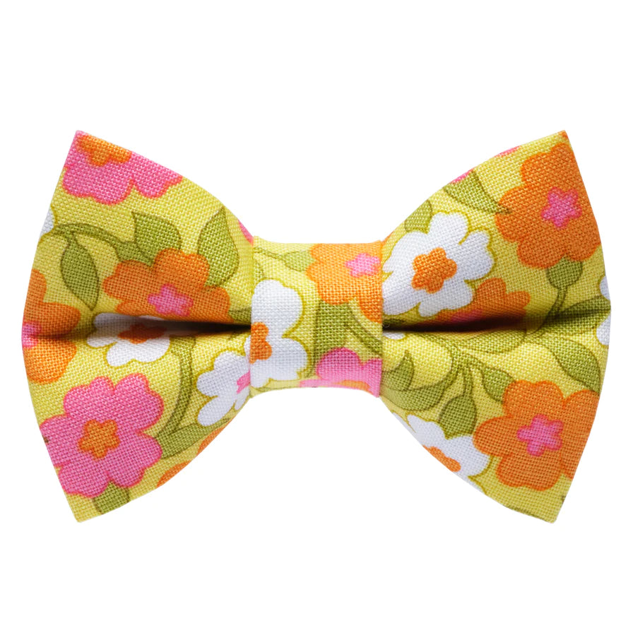 Glamper Bow Tie Attachment for Collar