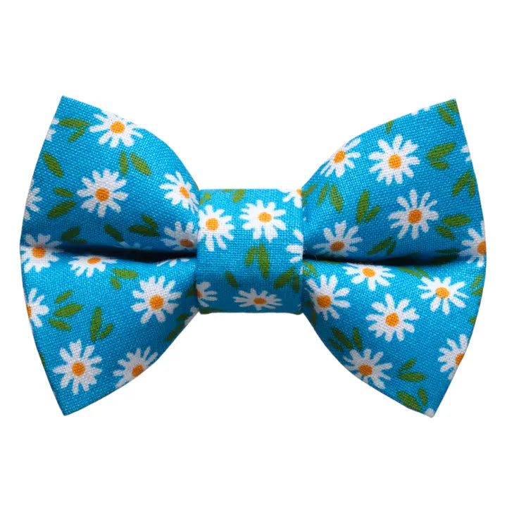 The Ok, Bloomer Bow Tie Attachment for Collar