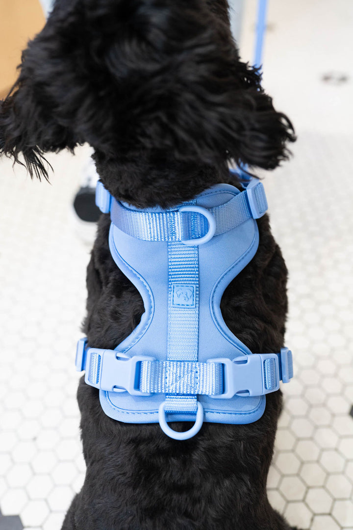 Toiffer Comfort Harness Robin Cyan