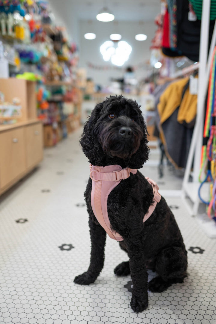 Toiffer Comfort Harness Rosy Blush