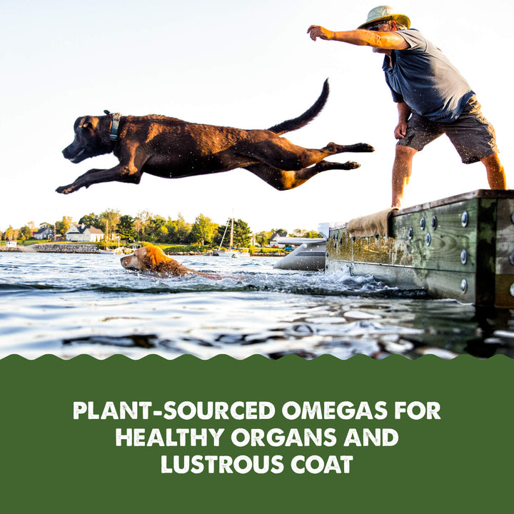 Grizzly Vegan Algae Plus Omega 3-6-9 Algal Supplement For Dogs & Cats 16oz