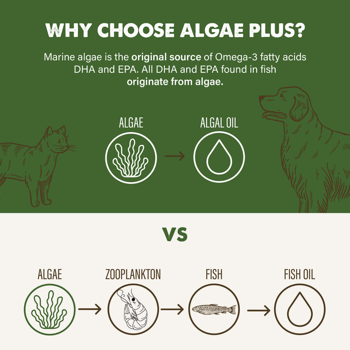 Grizzly Vegan Algae Plus Omega 3-6-9 Algal Supplement For Dogs & Cats 16oz