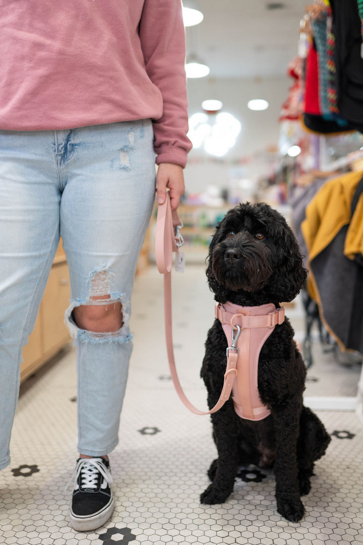 Toiffer Comfort Harness Rosy Blush