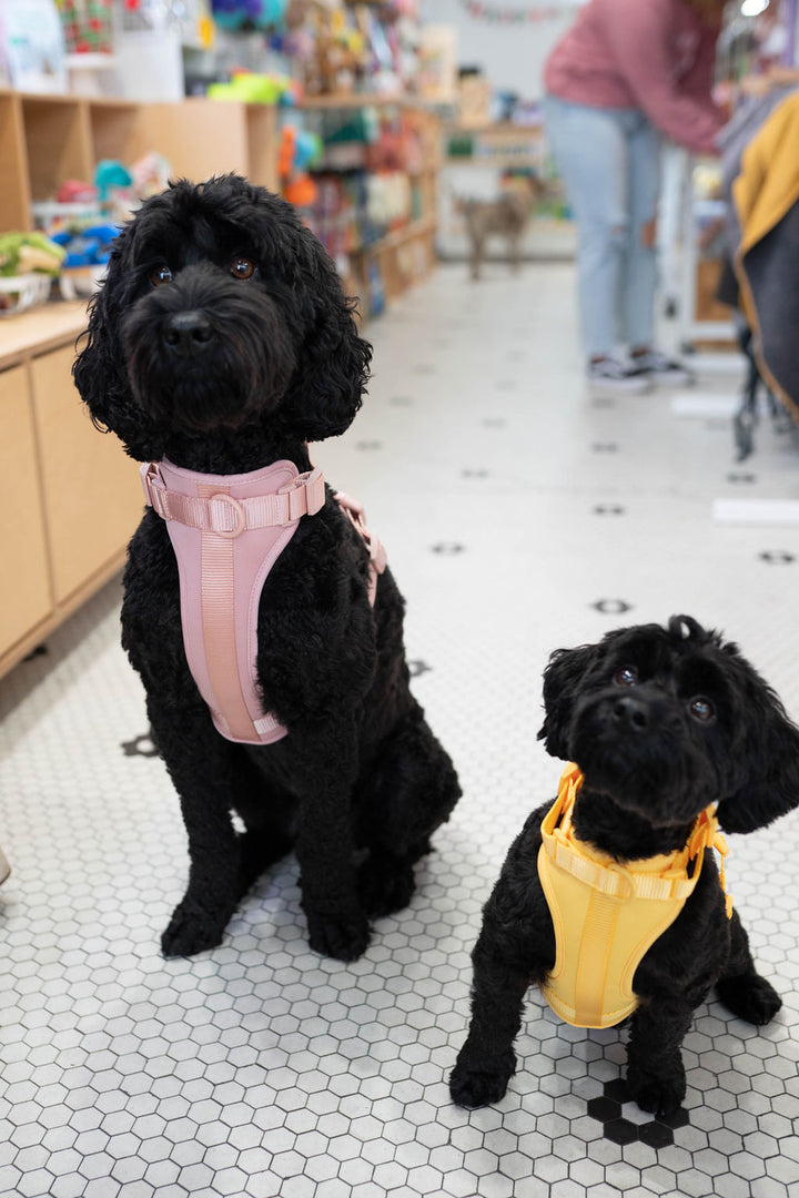 Toiffer Comfort Harness Rosy Blush