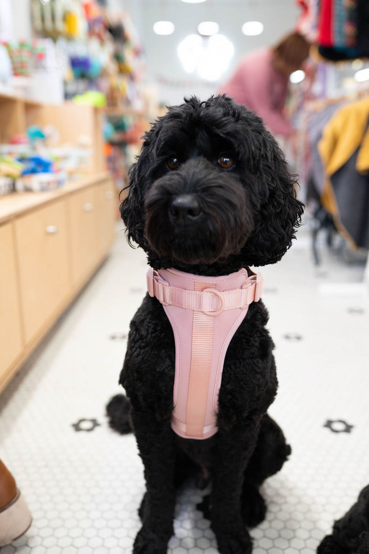Toiffer Comfort Harness Rosy Blush