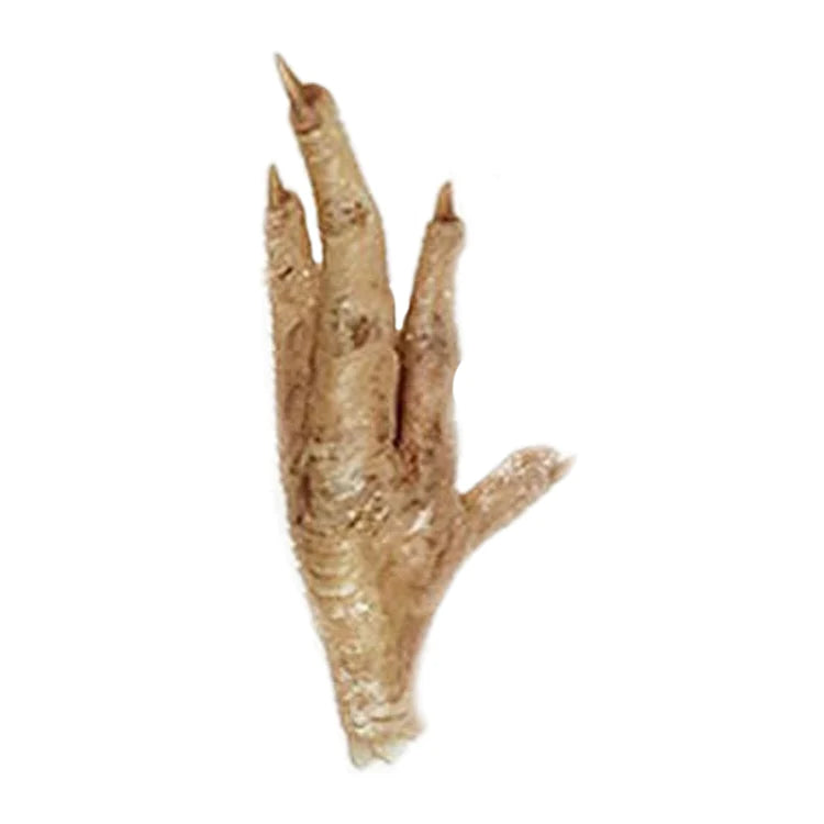 Freeze Dried Chicken Feet Treat for Cats and Dogs