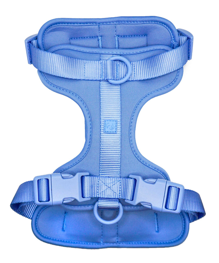 Toiffer Comfort Harness Robin Cyan