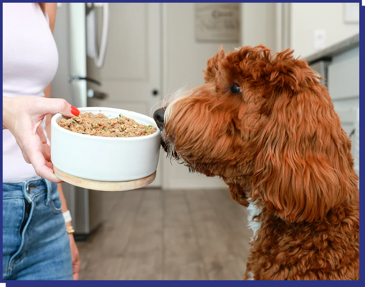 My Perfect Pet Dog Frozen Grain Free Low Fat Cod Blend 4LB