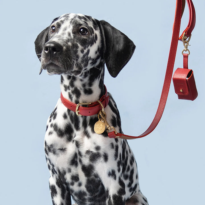 Ramona for You Mars Red Leather Leash