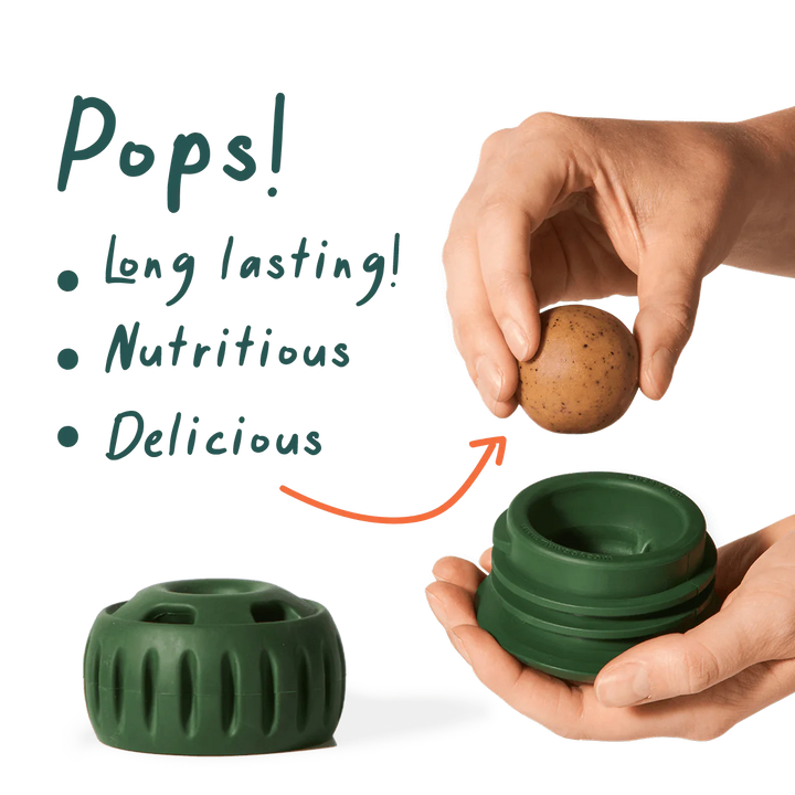 Woof Pupsicle Pops Long Lasting Treat Refills for Large Pupsicle Dog Toy 8oz