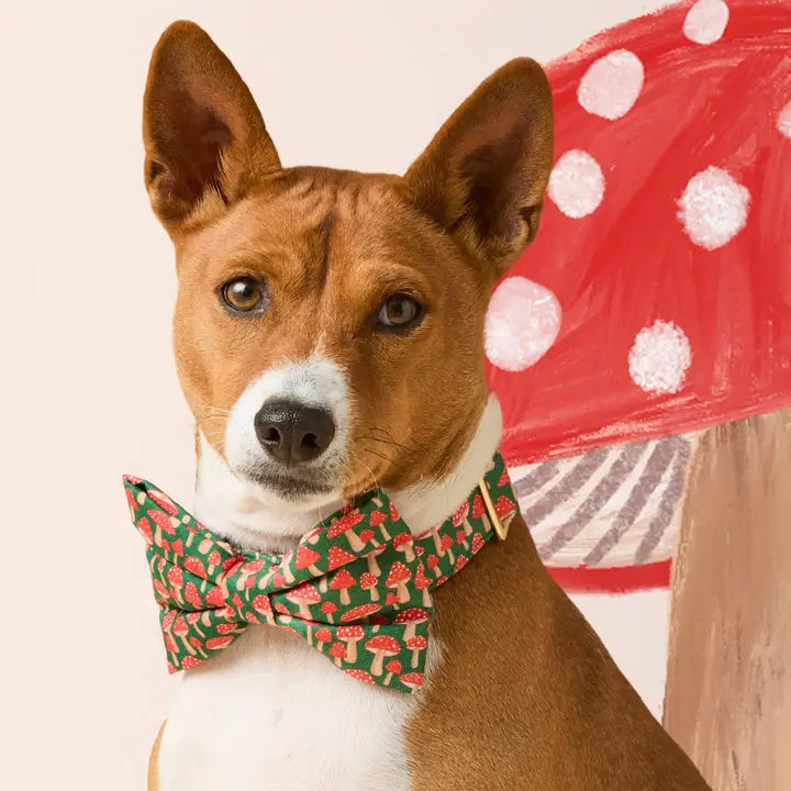 Mushroom Meadow Bow Tie Attachment for Collar