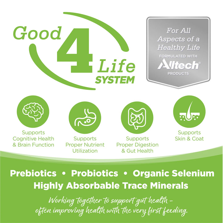 NutriSource Adult Weight Management Chicken and Rice Dry Dog Food 26lb