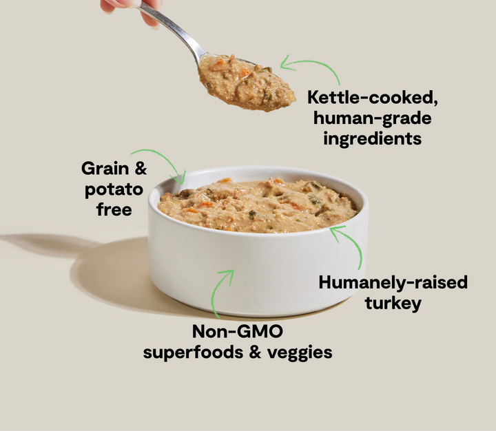 Open Farm Dog Grain Free Rustic Stew Turkey Wet Dog Food 12.5oz