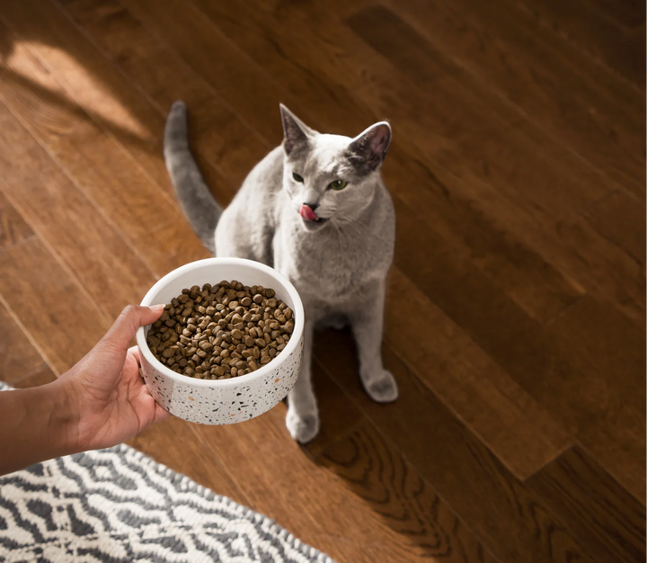Open Farm Cat Grain Free Pasture Raised Lamb Dry Cat Food 4lb