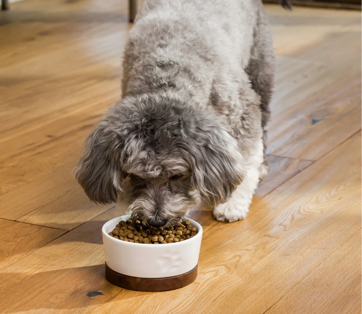 Open Farm Dog Grain Free Puppy Dry Dog Food 4lb