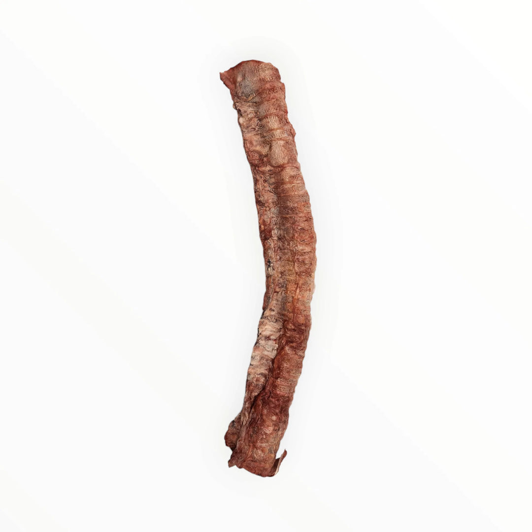 Freeze Dried Beef Trachea
