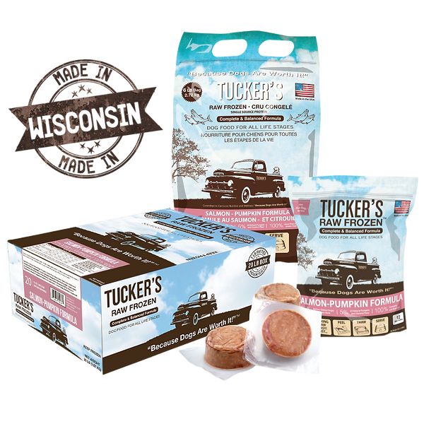 Tucker's Salmon Pumpkin Frozen Raw Dog Food 20lb
