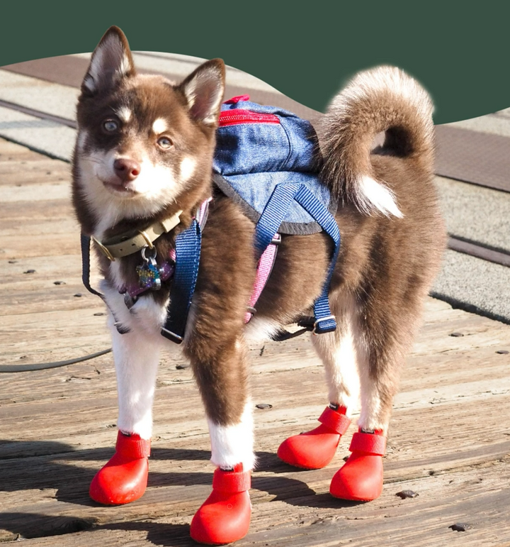 WagWellies by WagWear Dog Rubber Boots