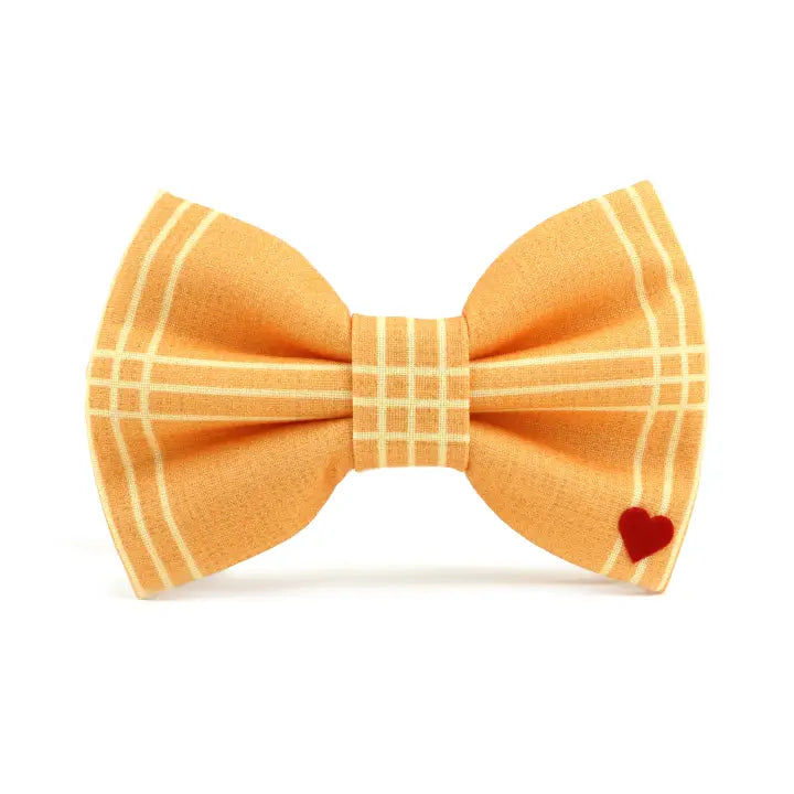 Squash Bow Tie Attachment for Collar