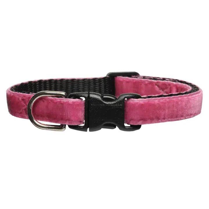 The Bored Meeting Cat Collar