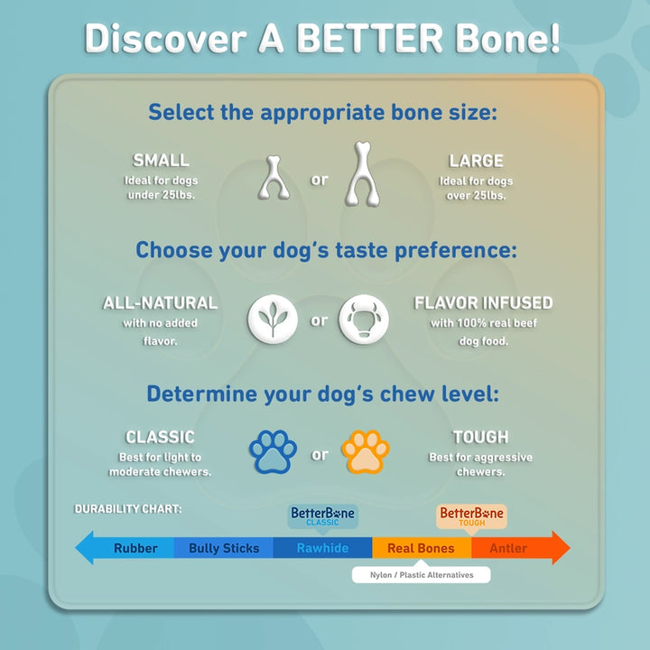 Betterbone Soft Density Beef Flavor Chew Bone Toy, Small