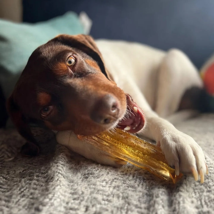 Mighty Marrows Bacon Collagen Dental Chew