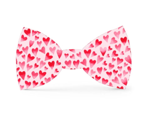 Heart Throb Valentine's Day Bow Tie Attachment for Collar