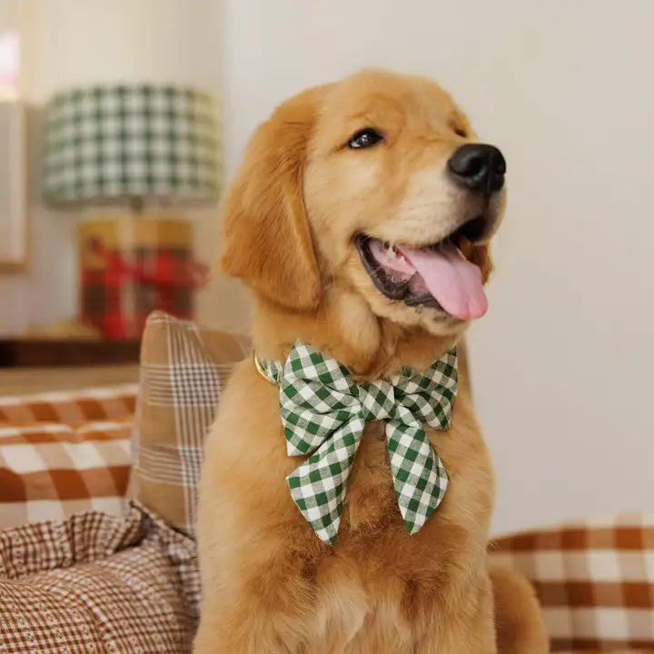 Gingham Hunter Green Lady Bow Attachment for Collar