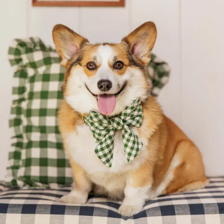 Gingham Hunter Green Lady Bow Attachment for Collar