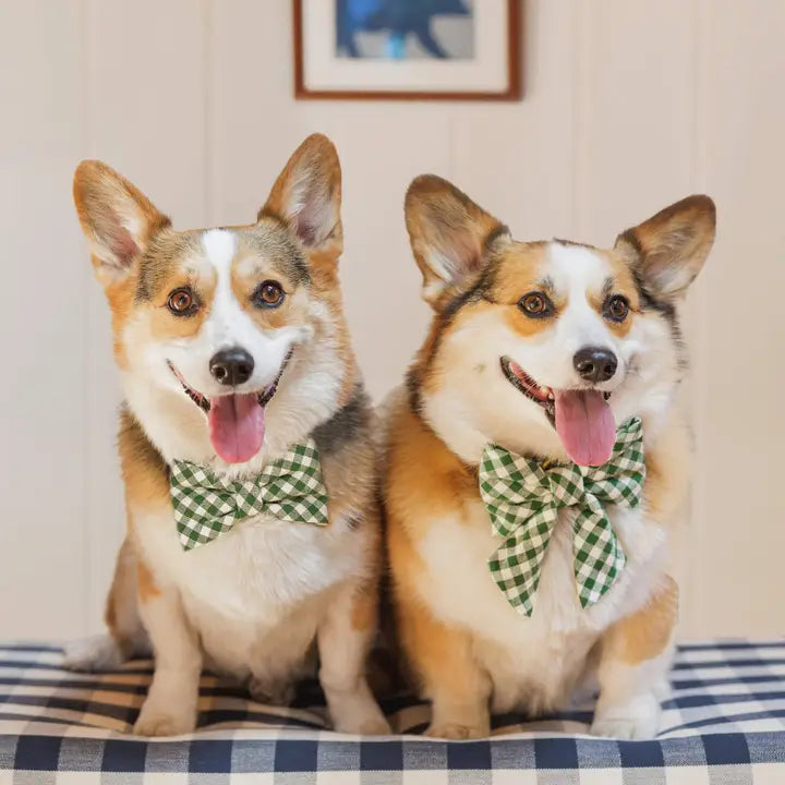 Gingham Hunter Green Lady Bow Attachment for Collar