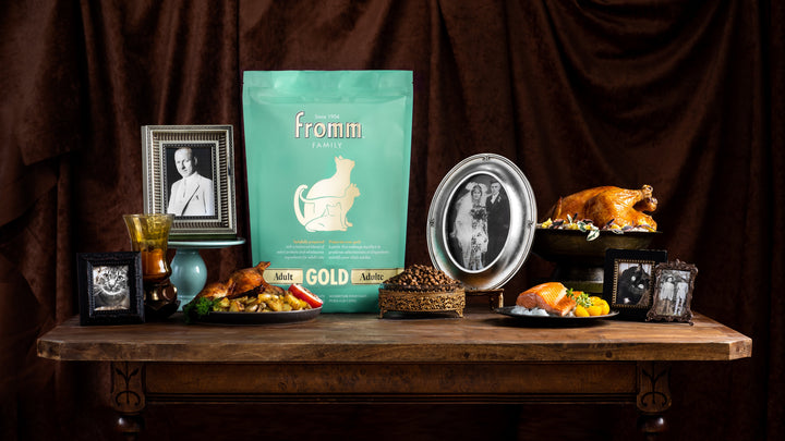 Fromm Gold Adult Cat Dry Cat Food 10lbs