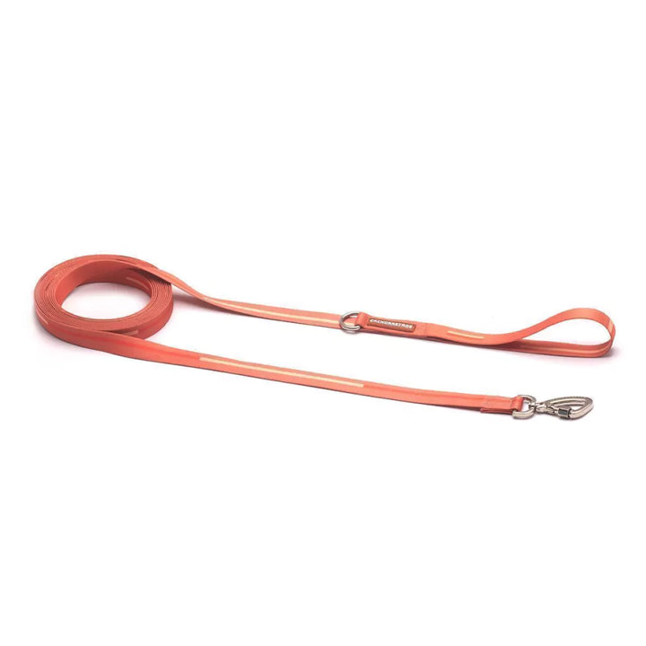 Cachorreiros Coral Dog Leash