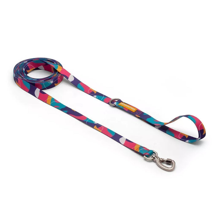 Cachorreiros Doge Dog Leash