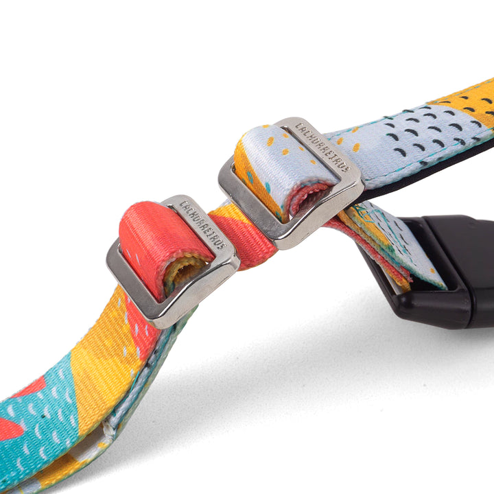 Cachorreiros Pitaya Running Hands Free Leash