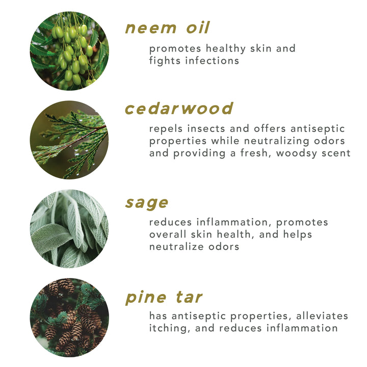 Cedarwood and Sage All-Purpose Shampoo Bar for Dogs