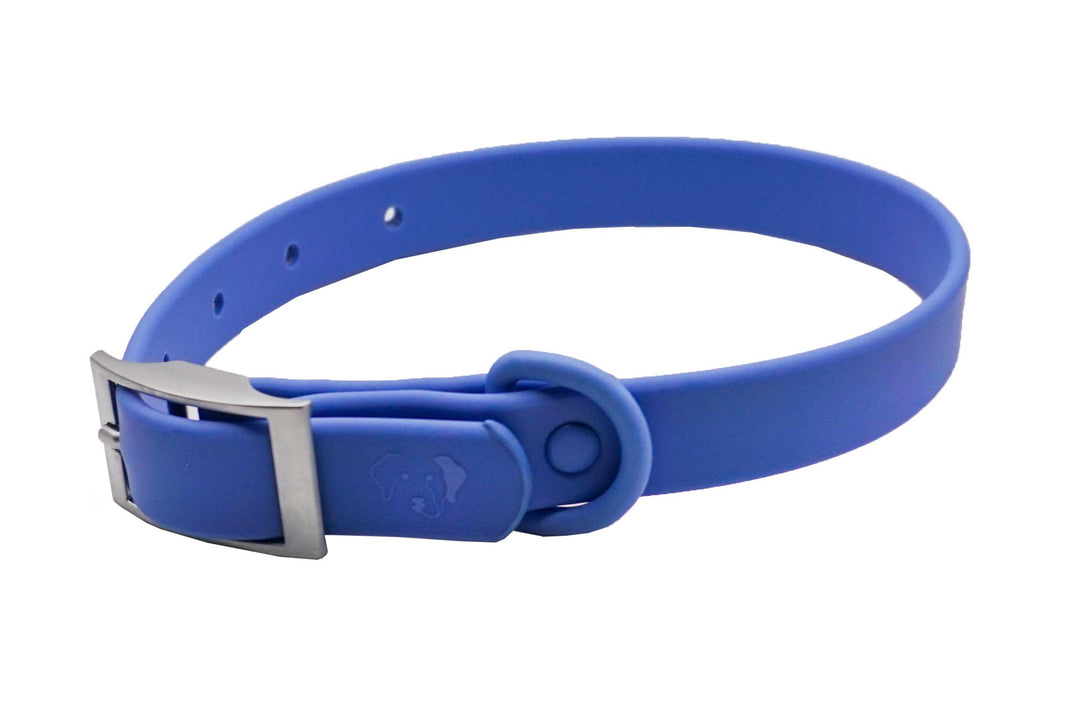 Toiffer Waterproof Collar Robin Cyan