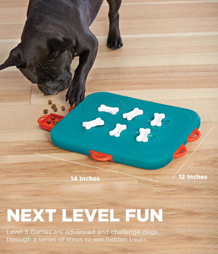 Outward Hound Dog Casino Advanced Treat Puzzle