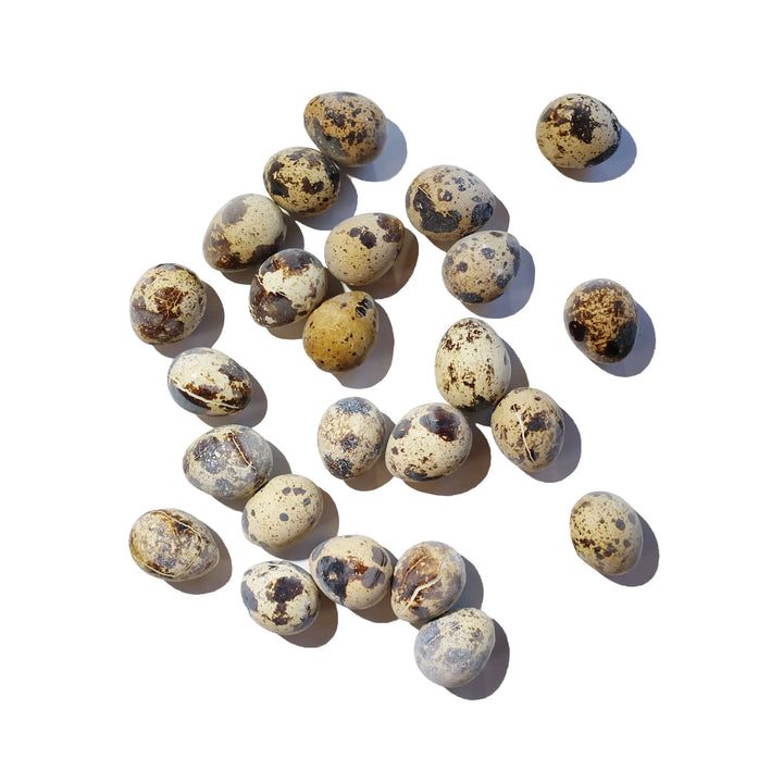 Two Dozen Frozen Quail Eggs for Cats or Dogs