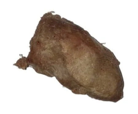 Freeze Dried Chicken Heart Treat for Dogs and Cats (Individual)