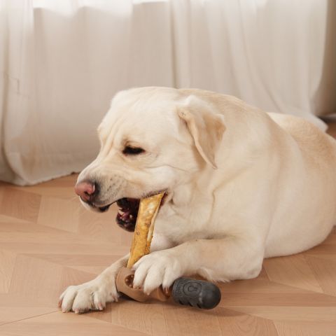 Territory Bacon Scented Treat Lock Dog Chew Toy 7"